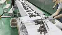 Machine d'emballage automatique à haute vitesse pour chocolat en forme de melon d'eau avec feuille de chocolat froissée et distribution de colle personnalisée