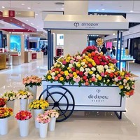Chariot de présentation de fleurs mobile moderne personnalisé pour centre commercial, présentoir décoratif en acier pour la vente au détail, idéal pour la cuisine, la salle de bain, les événements et l'hôtellerie