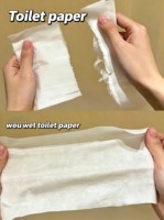 Lingettes humides biodégradables pour toilettes, à pH équilibré, sans alcool, non parfumées, pour peaux sensibles adultes