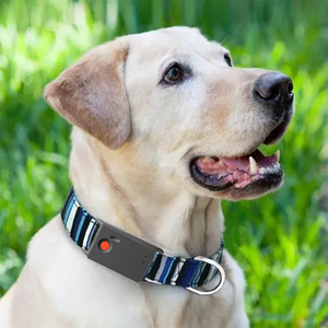 เครื่องติดตา<span class=keywords><strong>ม</strong></span>จีพีเอสขนาดเล็ก<span class=keywords><strong>ท</strong></span>ี่สุดสำหรับสุนัข<span class=keywords><strong>ม</strong></span>ีควา<span class=keywords><strong>ม</strong></span>ยืดหยุ่นตัวระบุตำแหน่งปลอกคอกันน้ำสำหรับสัตว์เลี้ยงสุนัขและแ<span class=keywords><strong>ม</strong></span>ว - Product Image 2