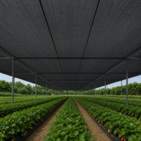 Filet d'ombrage en HDPE stabilisé aux UV pour le refroidissement des serres, les pépinières, la culture maraîchère et la protection des cultures