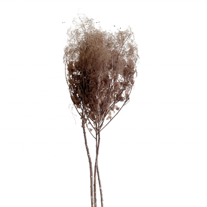 Offre Spéciale Conservé Fleur Éternelle Fumée Brousse Pour Arrangement de fleurs Fleur Éternelle - Product Image 6