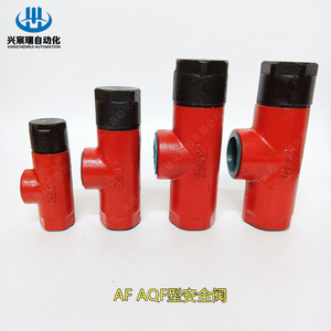 Válvula de seguridad AQF AF E15 de 2 pulgadas, válvula de desbordamiento de hierro fundido para aceite a temperatura normal, montaje con bridas - Product Image 3