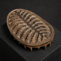 Plateau en bois de noyer noir sculpté à la main, bol à fruits secs au design bio algues marines, avec broches en laiton incrustées, plat décoratif Wabi Sabi pour table à thé