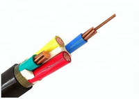 Cable YJV 0.6/1kV 4 Núcleos XLPE PVC para Baja Tensión, Negro, 100m/rollo, IP68, Concentrico, Inmerso en Lodo, para Toma de Tierra, 100m