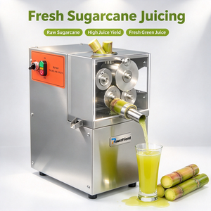 <span class=keywords><strong>Extracteur</strong></span> <span class=keywords><strong>de</strong></span> <span class=keywords><strong>jus</strong></span> <span class=keywords><strong>de</strong></span> canne à sucre électrique automatique 220V, nouveau modèle, puissant (0,4 kW), garantie 1 an - Meilleure vente - Product Image 6