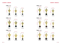 Trophée en métal argenté sur socle en plastique ou en bois noir pour les compétitions de tournois sportifs