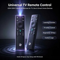 Control Remoto por Voz para Smart TV de 17 Teclas, Fabricado por OEM ODM, Control Remoto Inalámbrico de Plástico ABS para Android TV
