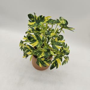 <span class=keywords><strong>Mini</strong></span> <span class=keywords><strong>bassin</strong></span> de fleurs en plastique de verdure artificielle en pot pour la Simulation intérieure bonsaï artificiel maison ferme décor <span class=keywords><strong>jardin</strong></span> Applica - Product Image 4