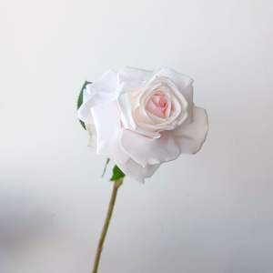 Rosas artificiales preservadas para siempre, accesorios de fotografía de flores, Día de San Valentín, graduación, decoración del hogar, adornos, Idea de regalo - Product Image 5