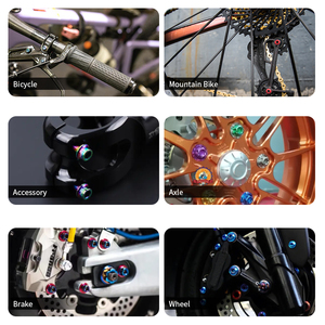 Titan xe đạp Bu Lông & ốc vít Lớp <span class=keywords><strong>5</strong></span> ISO Metric đầu hình bầu dục - Product Image 5