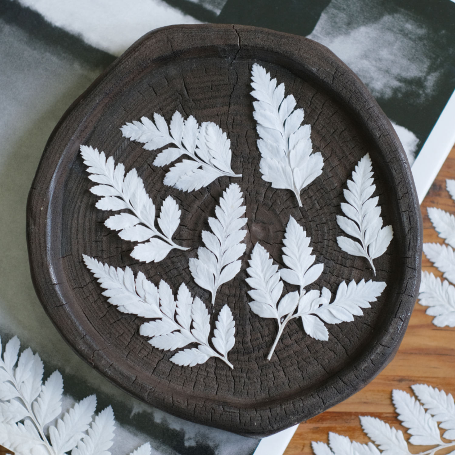 MH687 Deersfoot Fern 4-6cm white 50pcs