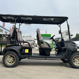 2026 China Customized 2 4 Seater Street Golf Vehicle - Product Image 3