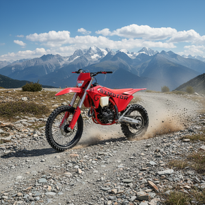 Moto tout-terrain pour adultes GX-LF-300 300cc avec arbre d'équilibrage NIBBI PE30, alimentation en <span class=keywords><strong>carburant</strong></span>, monocylindre, quatre <span class=keywords><strong>temps</strong></span>, refroidissement par eau - Product Image 4