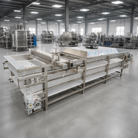 Hete verkoop Fruit & Groente Hetelucht Droogmachine met Motor SUS304 RVS Continue Band Dehydrator 500kg/u Capaciteit