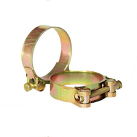 Factory Supply Euro Type Heavy-Duty Galvanized Iron/Stainless Steel Hose Clamp High Quality Engine Clamp Hydraulic Pipe Clamps