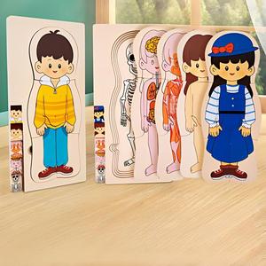 Rompecabezas de Madera Montessori de la Estructura del Cuerpo Humano, Juguete Educativo para Niños, Aprendizaje Cognitivo de los Órganos Internos y el <span class=keywords><strong>Esqueleto</strong></span> - Product Image 3