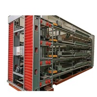 Nouvelle cage à poules automatique robuste pour la collecte des œufs, haute efficacité, en acier galvanisé, pour élevages avicoles à grande échelle