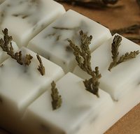 Venta al por Mayor de Velas Aromáticas de Soja Hechas a Mano, con Aroma a Plantas, Fragancia Duradera, No Tóxicas, Decoración Moderna para el Hogar, Acción de Gracias, Diwali