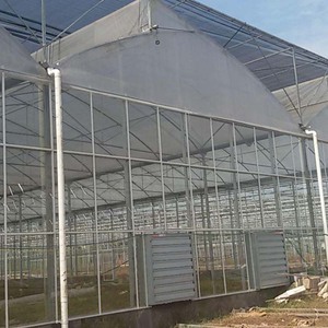 Kommerzielles Hydroponisches Gewächshaus mit Sainpoly PEP-Folie |   Erschwingliche Einlagige Struktur für Tomaten- und Landwirtschaft - Product Image 6