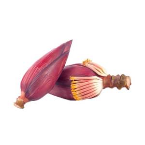 Offres Spéciales poudre <span class=keywords><strong>de</strong></span> <span class=keywords><strong>fleur</strong></span> <span class=keywords><strong>de</strong></span> <span class=keywords><strong>bananier</strong></span> 10:1 20:1 <span class=keywords><strong>fleur</strong></span> <span class=keywords><strong>de</strong></span> <span class=keywords><strong>bananier</strong></span> <span class=keywords><strong>fleur</strong></span> <span class=keywords><strong>de</strong></span> <span class=keywords><strong>bananier</strong></span> pour la qualité alimentaire - Product Image 3