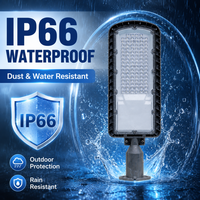 Hochleistungs-100W-LED-Straßenlampe für den Außenbereich, verstellbarer 50-mm-Stangenfuß für Hafen- und Industriehof-Beleuchtungslösungen