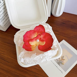 <span class=keywords><strong>Pince</strong></span> à <span class=keywords><strong>cheveux</strong></span> fleur hawaïenne séchée couleur bonbon pinces à <span class=keywords><strong>cheveux</strong></span> <span class=keywords><strong>fleurs</strong></span> d'orchidées - Product Image 5