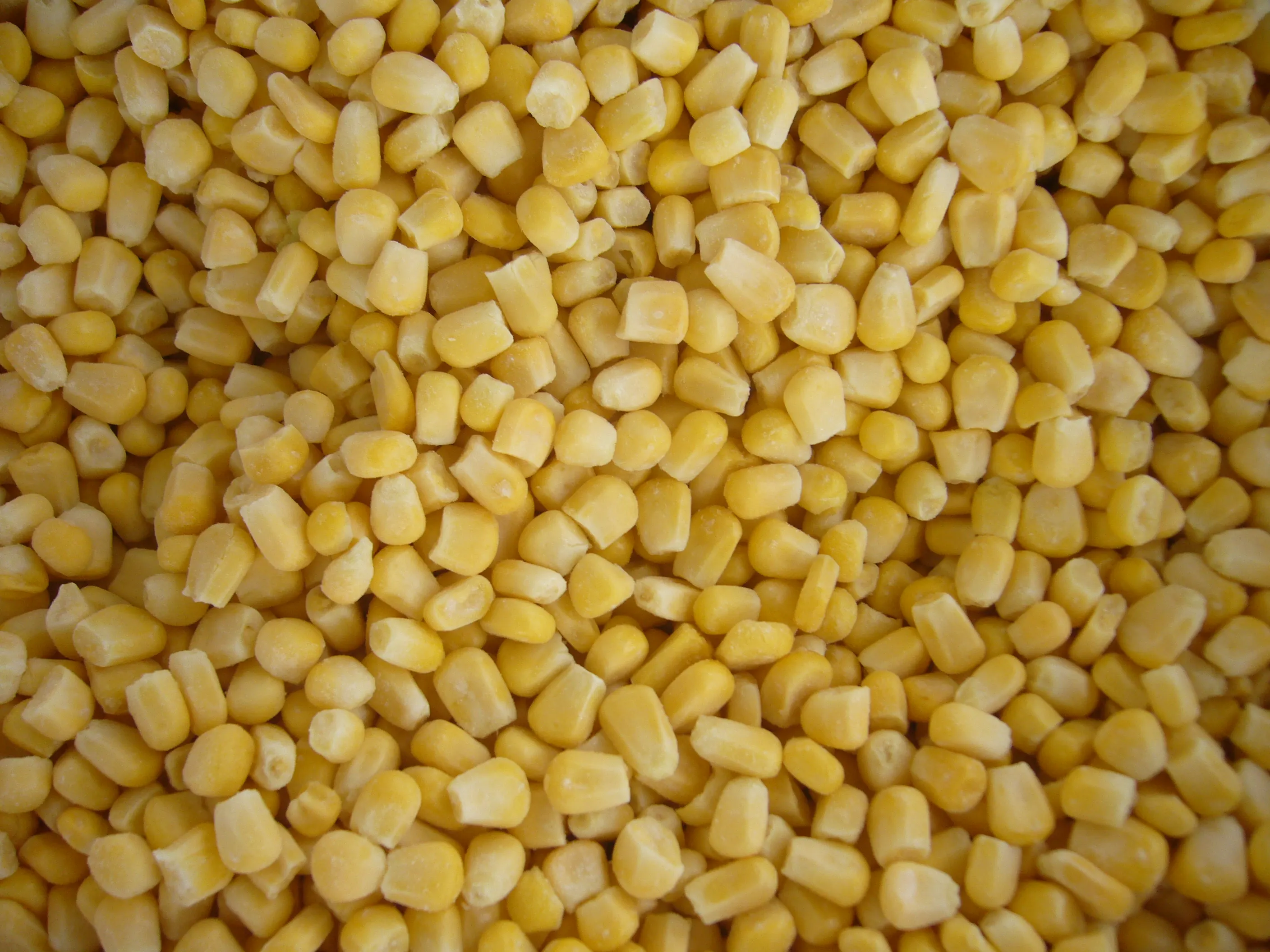 IQF — épaissi de maïs glacé, nourriture
