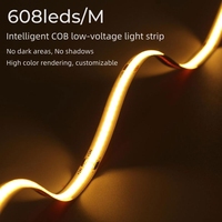 Cob lampu Strip LED 5m fleksibel cerdas, CCT 24v 12V Putih Hangat putih murni dengan lampu tembaga badan IP20 berperingkat