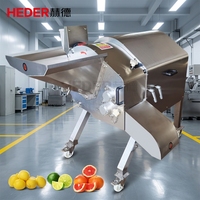 Fruit- en groentesnijmachine voor het snijden van aardappelen, bamboescheuten, wortelen, knoflook, appels en zoete aardappelen in blokjes; productielijn voor het snijden in blokjes.