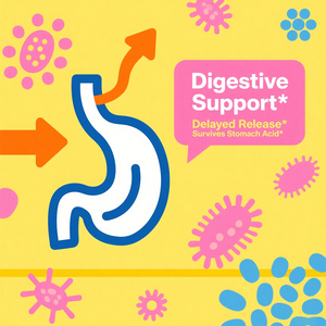 Etiqueta privada 25 mil millones de gomitas probióticas de D-Manosa para mujeres que promueven la digestión apoyan la salud intestinal - Product Image 4