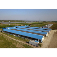 IBeehive – Nouvelle structure industrielle en acier écologique pour ferme avicole, bâtiment préfabriqué anti-rouille pour 2000 poulets de chair