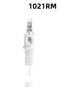 20 pièces/boîte 10 #   Aiguille de cartouche de machine à tatouer jetable stérilisée 0,30 mm RL M1 RS RM pour maquillage permanent (PMU) et art corporel - Product Image 3