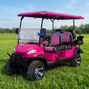 Nouveau design 2026 – Voiturette de golf électrique de fabrication chinoise – Prix de gros – Véhicule électrique de tourisme - Product Image 3