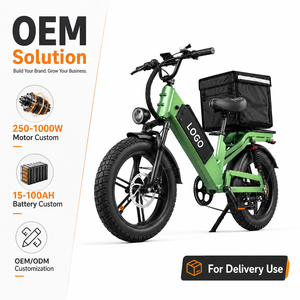 Bicicleta Eléctrica de 48V 55Ah, 240km de Autonomía, 250W 750W, Neumáticos Anchos, Doble Suspensión, Impermeable, Fabricante de Bicicletas Eléctricas de Reparto - Product Image 1