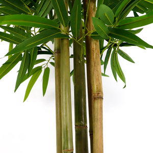 214 Hojas de Tela de Seda Artificial, Plantas Simuladas para Decoración de Jardín y Muebles, con Tallos Reales en Venta - Product Image 6
