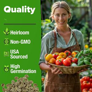 Tomates de jardin 8 variétés anciennes pour la plantation 100% non-OGM De Tomates - Product Image 2