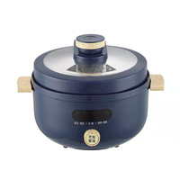 Casserole électrique multifonctionnelle de style coréen 3L 1300W pour la maison
