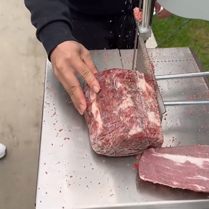 Chuyên nghiệp cắt đông lạnh thịt thương mại thịt xương đã thấy máy điện hàng thịt xương đã thấy máy gà cắt - Product Image 5