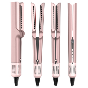 OEM/ODM Custom Professional Infrared Hair Flat Iron Blow Dryer Straightener Plasma 2 In 1 Air Styler Wet To Dry Air Straightener