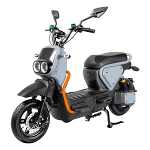 Vélo de ville chinois pour adultes, pneus larges, affichage numérique, fonctionnalités électroniques, moteur sans balais 1000W, cadre en acier, 3 vitesses, freins à disque - Product Image 1