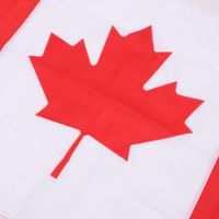 Drapeau décoratif canadien brodé, imperméable, résistant à la décoloration, en tissu Oxford, pour usage extérieur