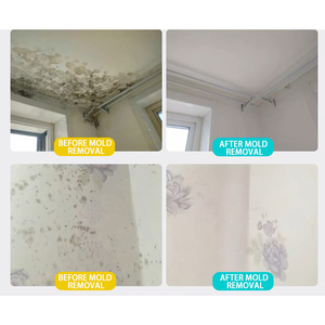 Spray anti-<span class=keywords><strong>moisissure</strong></span> multi-usages, écologique, pour toutes les saisons, 80% d'ingrédients actifs, nettoyage des taches sur les carreaux, modèle Ohyoung - Product Image 5