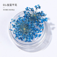 Populaire 12 couleurs fleurs séchées naturelles nail art vraie dentelle sèche fleurs séchées pour nail art UV LED gel