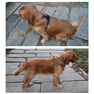 Harnais pour chien souple et réfléchissant, anti-traction, avec poignée et deux attaches pour la laisse, certifié BSCI, marque privée - Product Image 4