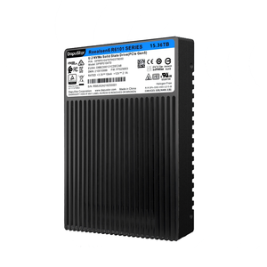 Dapustor 3.84TB SSD NVMe U.2 R6100 Servidor Solid State Drive para DE6000H DE4000H 3650M5 X6 SR650 SR550 SR850 - Product Image 5