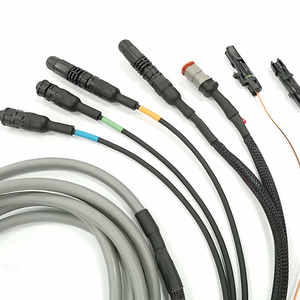 Arneses de cableado personalizados del sistema de riego de plantación de alimentación automática agrícola - Product Image 5