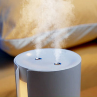 Mini-humidificateur à ultrasons avec veilleuse, atomiseur à double pulvérisation pour l'aromathérapie et la voiture.