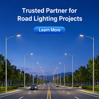 Farola LED Solar DC con Certificación IP66, CCC, CE y RoHS, Batería Lifepo4, Aluminio, Garantía de 5 Años, Montaje en Pared para Carreteras, Jardines, Multicolor