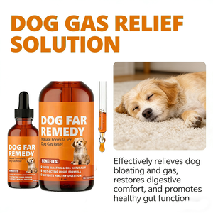 Compléments alimentaires OEM/ODM pour la santé du côlon des animaux de compagnie, chiens et chats, soutien ciblé du tractus gastro-intestinal inférieur - Product Image 6